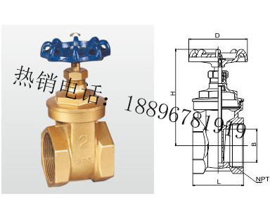 天津Z15W-16T 黄铜闸阀 (美制)