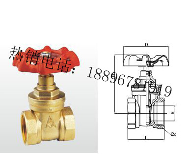 江苏Z15W-16T 黄铜闸阀