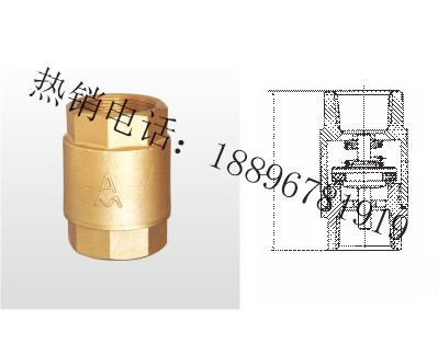 江苏H12X-16T 黄铜立式止回阀