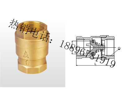 宁波H12X-16T 黄铜升降式止回阀