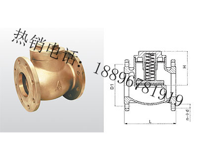 南通H41W-16T/H41X-16T 黄铜升降式缓闭止回阀