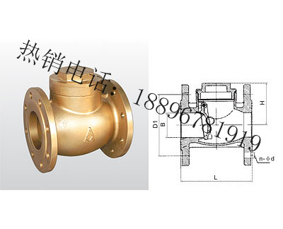 宁波H44W-16T 黄铜法兰止回阀