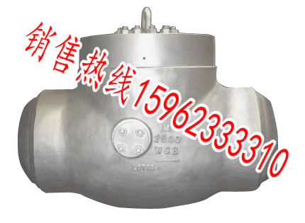 漳州磅级电站旋启式止回阀