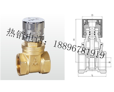 Z15W-16T 黄铜磁性带锁闸阀