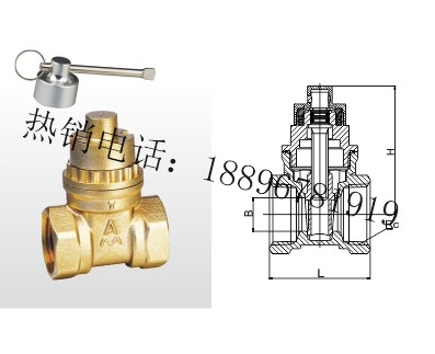 Z15W-16T 黄铜磁性带锁闸阀